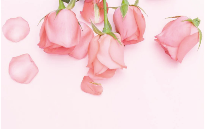 高甜情歌+甄选对表 520戴表我的心