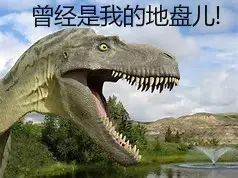 为什么出自这里的手表能被冠以“顶级”？