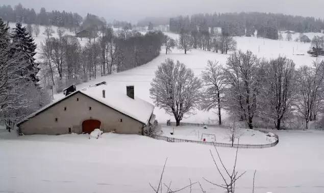 冷得不想动？看看瑞士人在严寒中创造出了什么奇迹！？