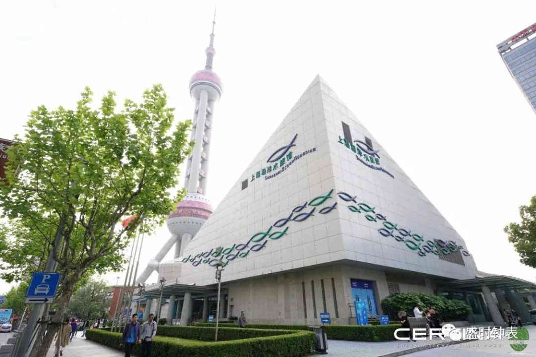 雪铁纳STC60周年庆典特别款在沪亮相