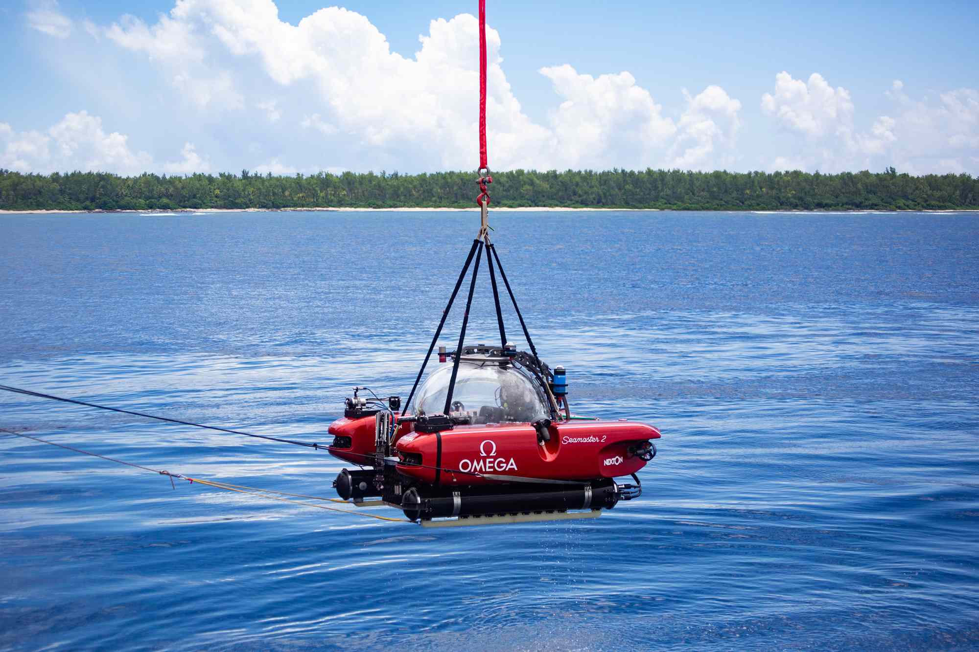 助力海洋保护——欧米茄海马系列300米潜水表Nekton特别版